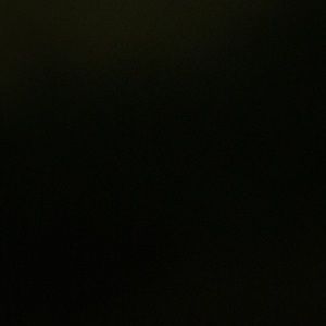 Meet your Posher, Damaris